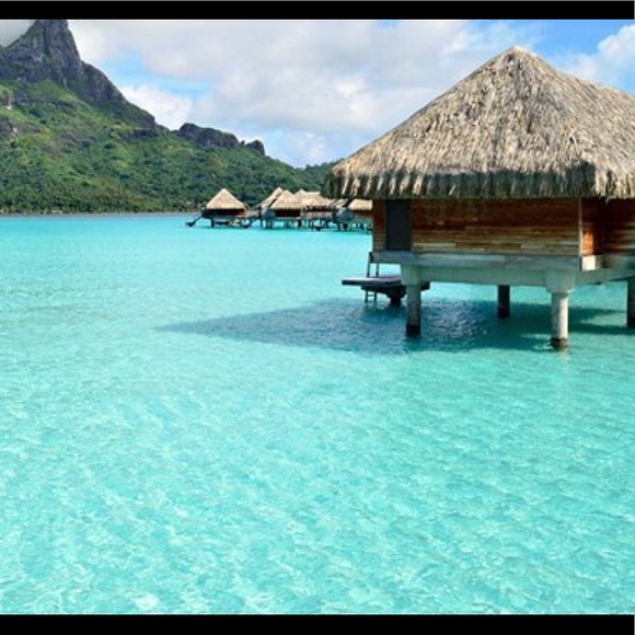 Meet your Posher, Mary - Picture 1 of 1